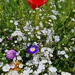 Glamping Village Кемпинг