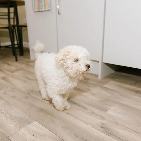 Campingplatz Glamping Village Easkey