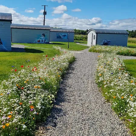 Glamping Village Кемпинг