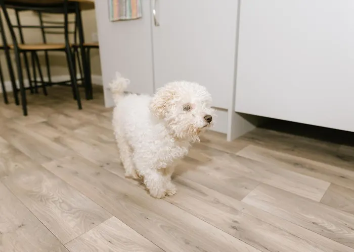 Campingplatz Glamping Village Easkey