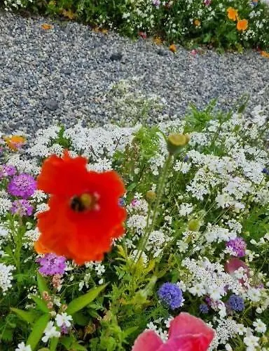 Кемпинг Glamping Village *